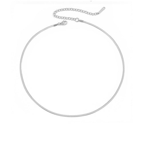Stainless steel necklace, simple collarbone chain, women's high-end